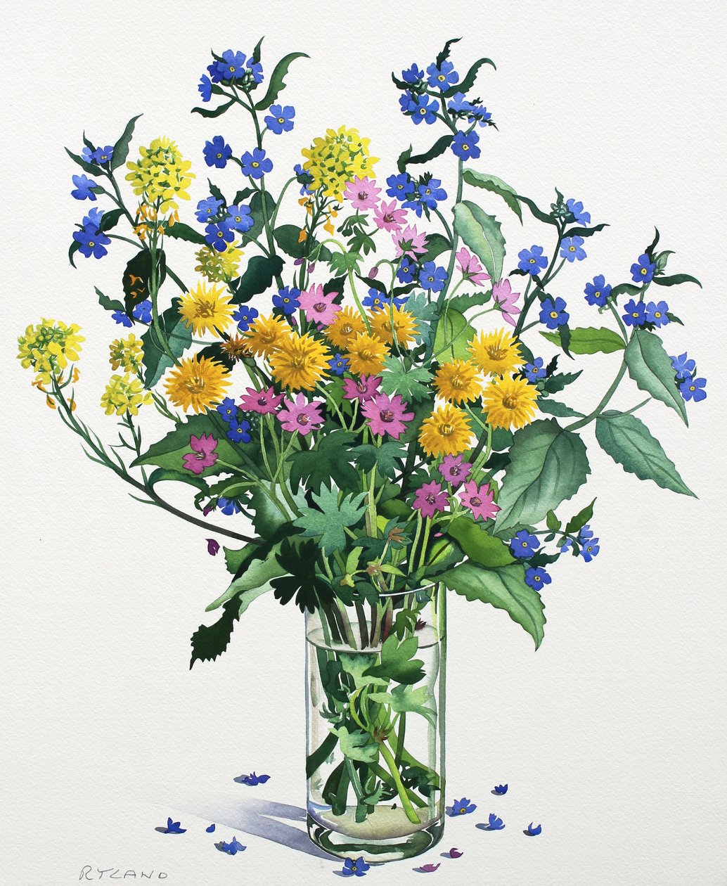 Wilde Bloemen met Alkanet door Christopher Ryland