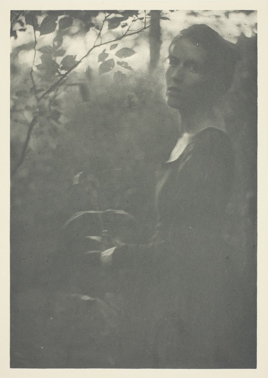 Rand van het Bos door Clarence H. White