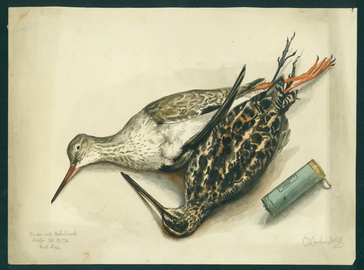Watersnip en Tureluur, 1872 door Claude Conder