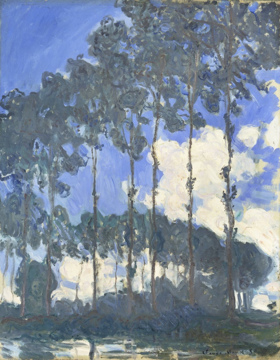De Ekster door Claude Monet