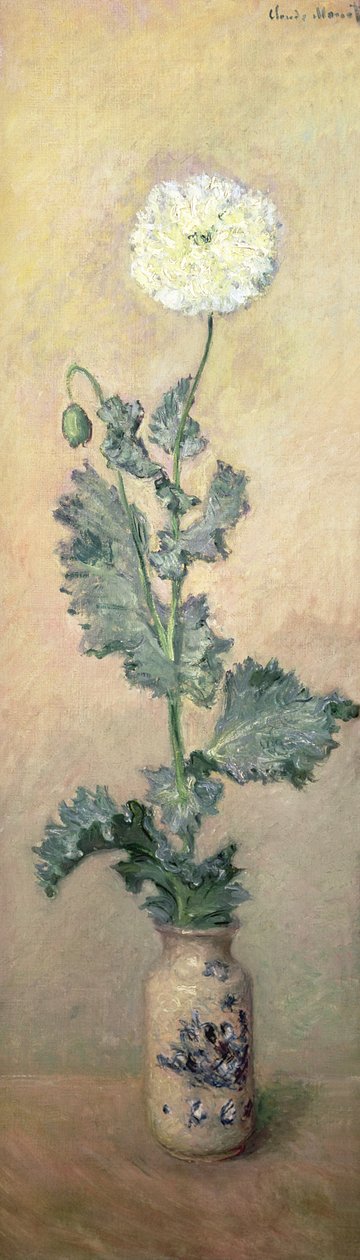 Witte papaver, 1883 door Claude Monet