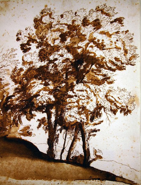 Een groep bomen in zonlicht door Claude Lorrain