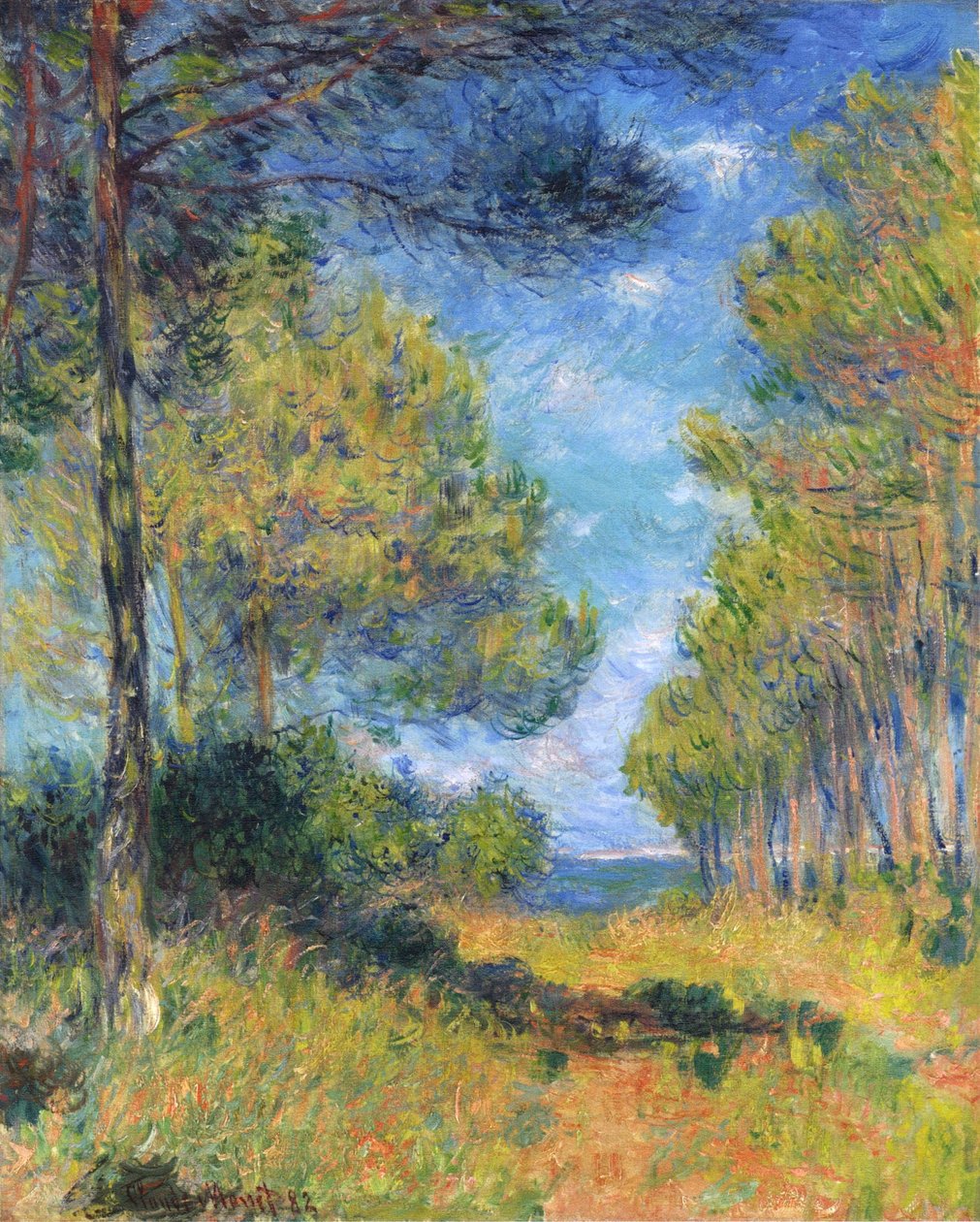 French: Allée de sapins à Varengeville
German: Tannenallee in Varengeville door Claude Monet