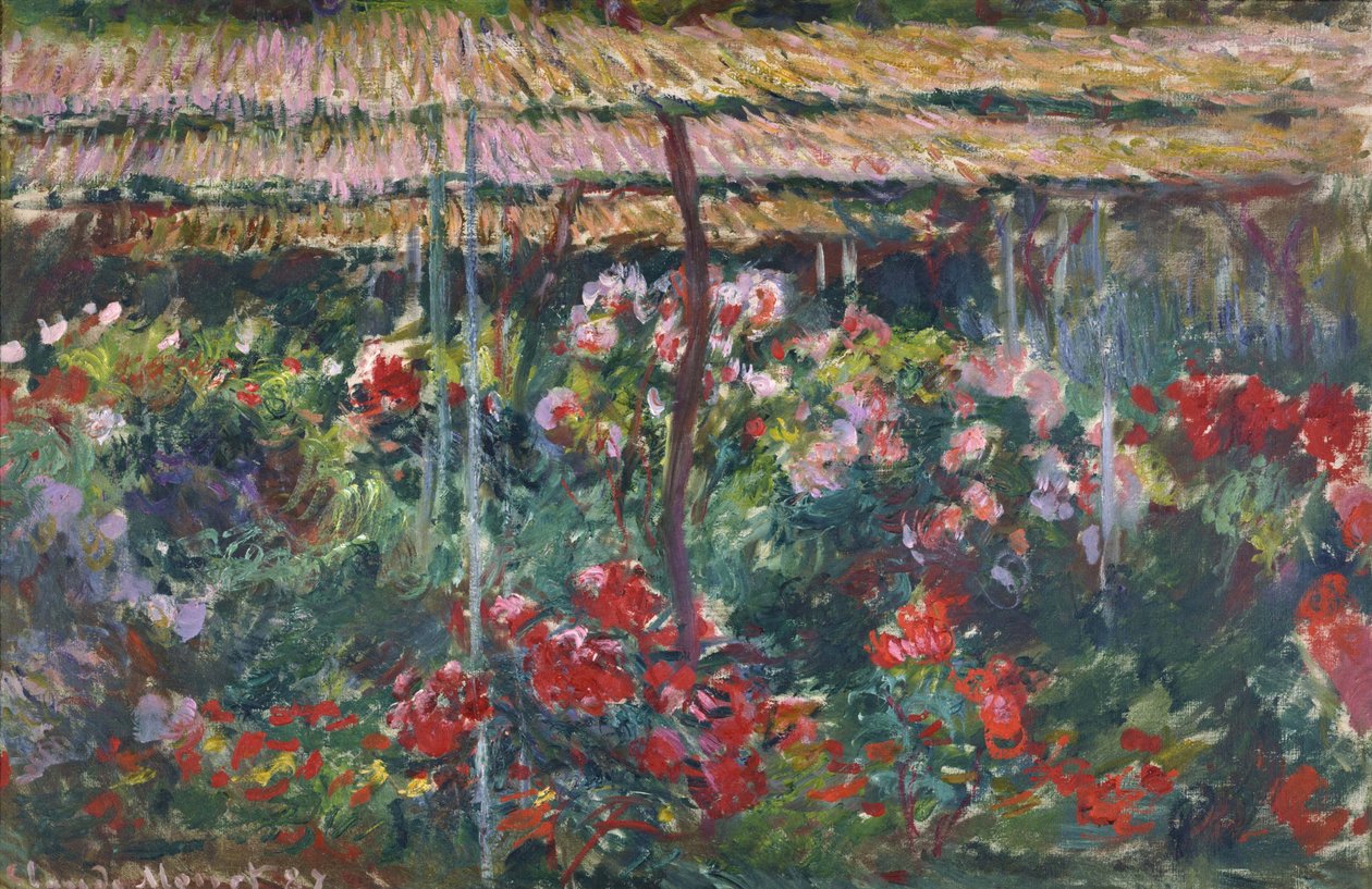 Pioenrozen-tuin  door Claude Monet