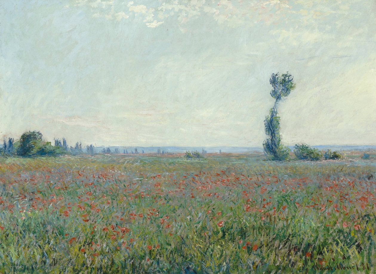 Klaproosveld door Claude Monet