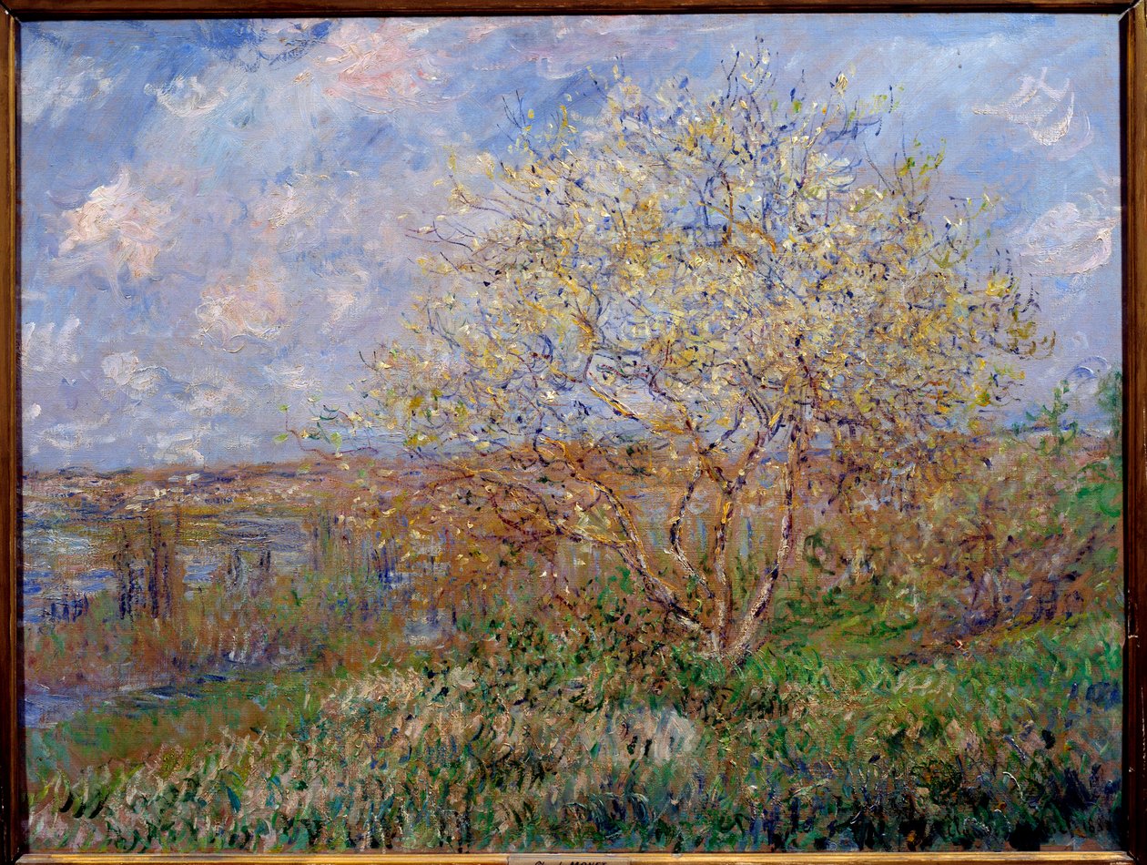 Lente. Schilderij door Claude Monet (1840-1926) 1882. Lyon, Musée des Beaux Arts door Claude Monet