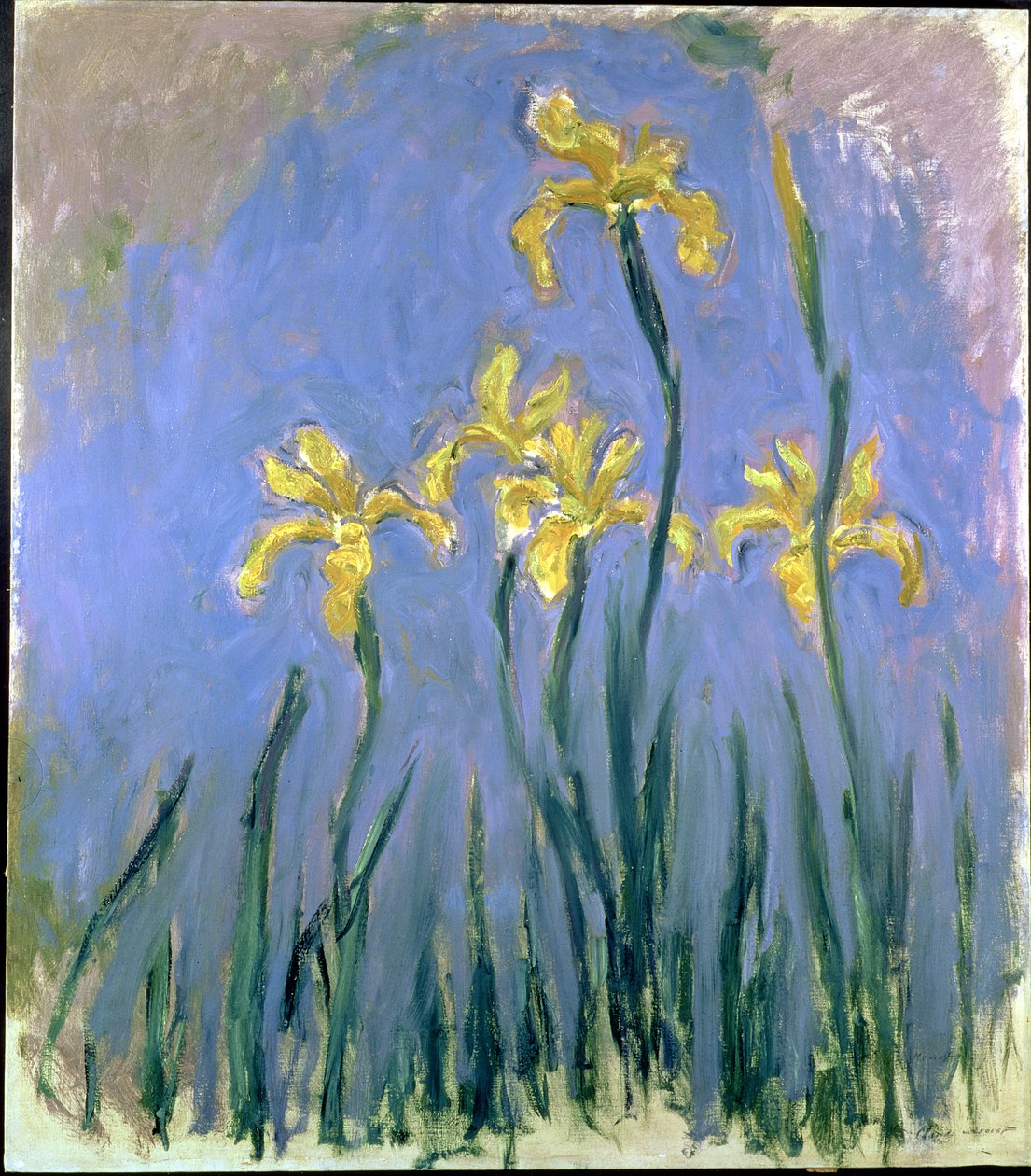 Gele Irissen; Les Iris Jaunes, ca. 1918-1925 door Claude Monet
