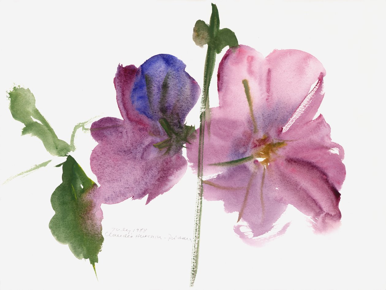 Stokrozen, 1988 door Claudia Hutchins Puechavy