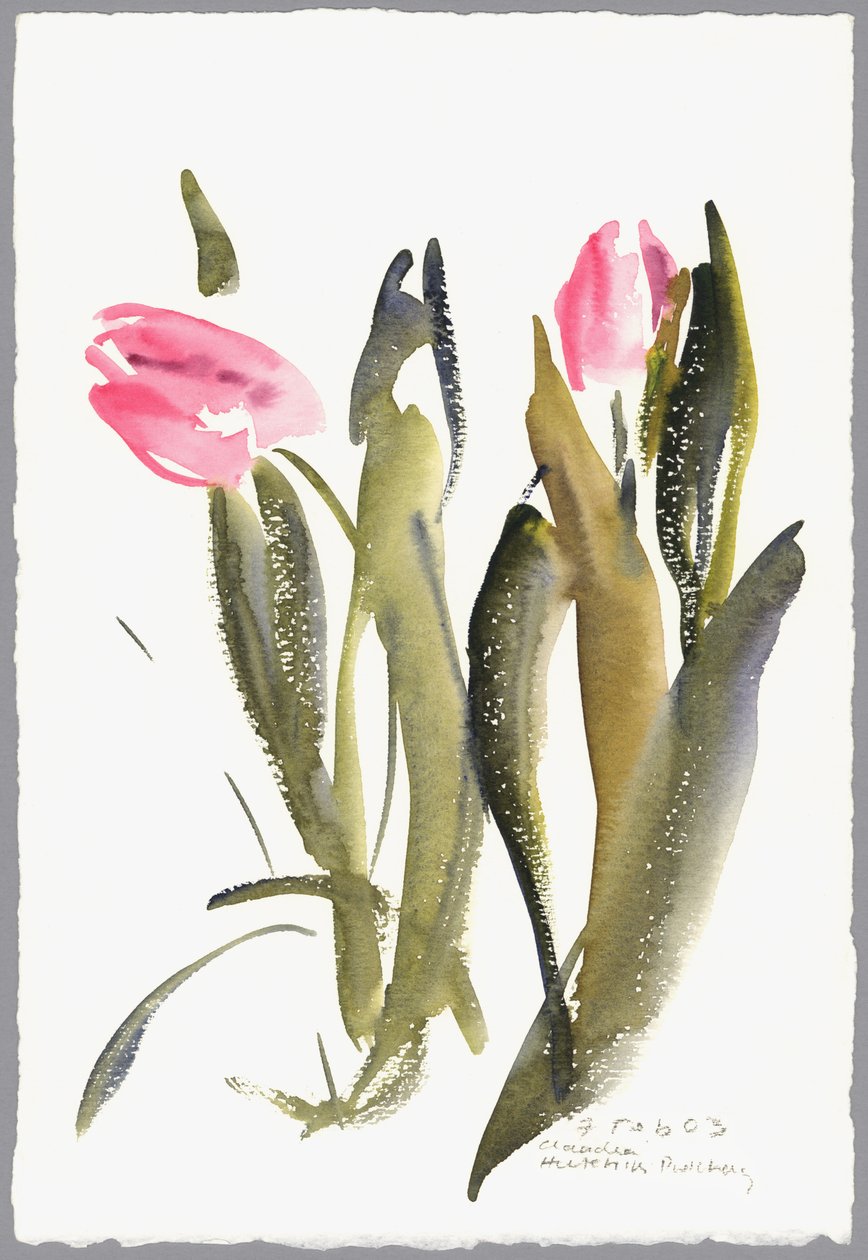 Tulpen, 2003 door Claudia Hutchins Puechavy
