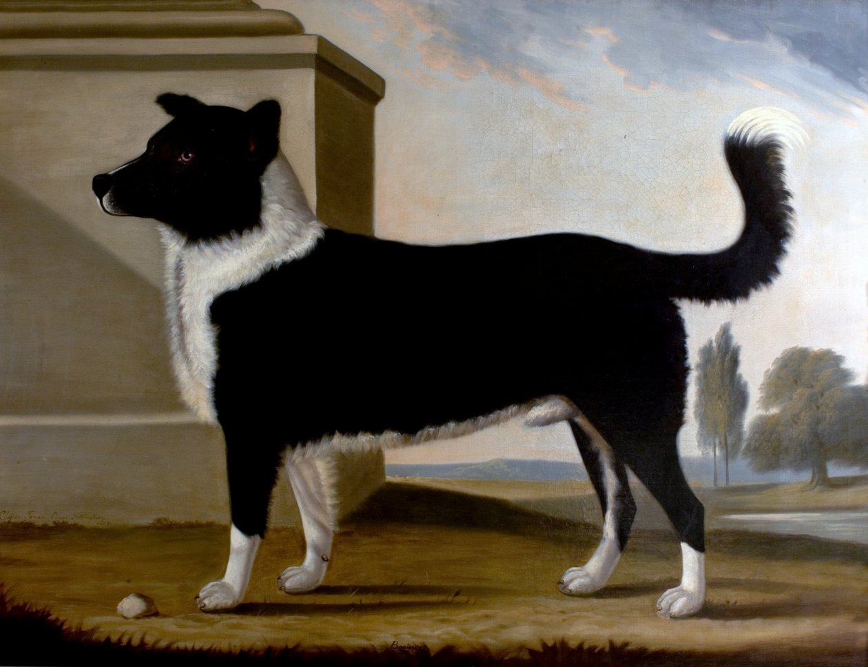 Lord Byrons hond Boatswain (De Newfoundland), 1808 door Clifton Tomson