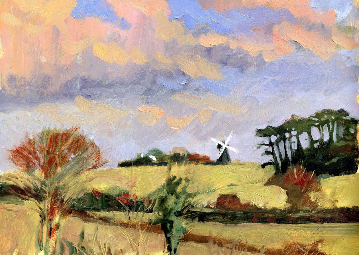 Avondmolen door Clive Metcalfe