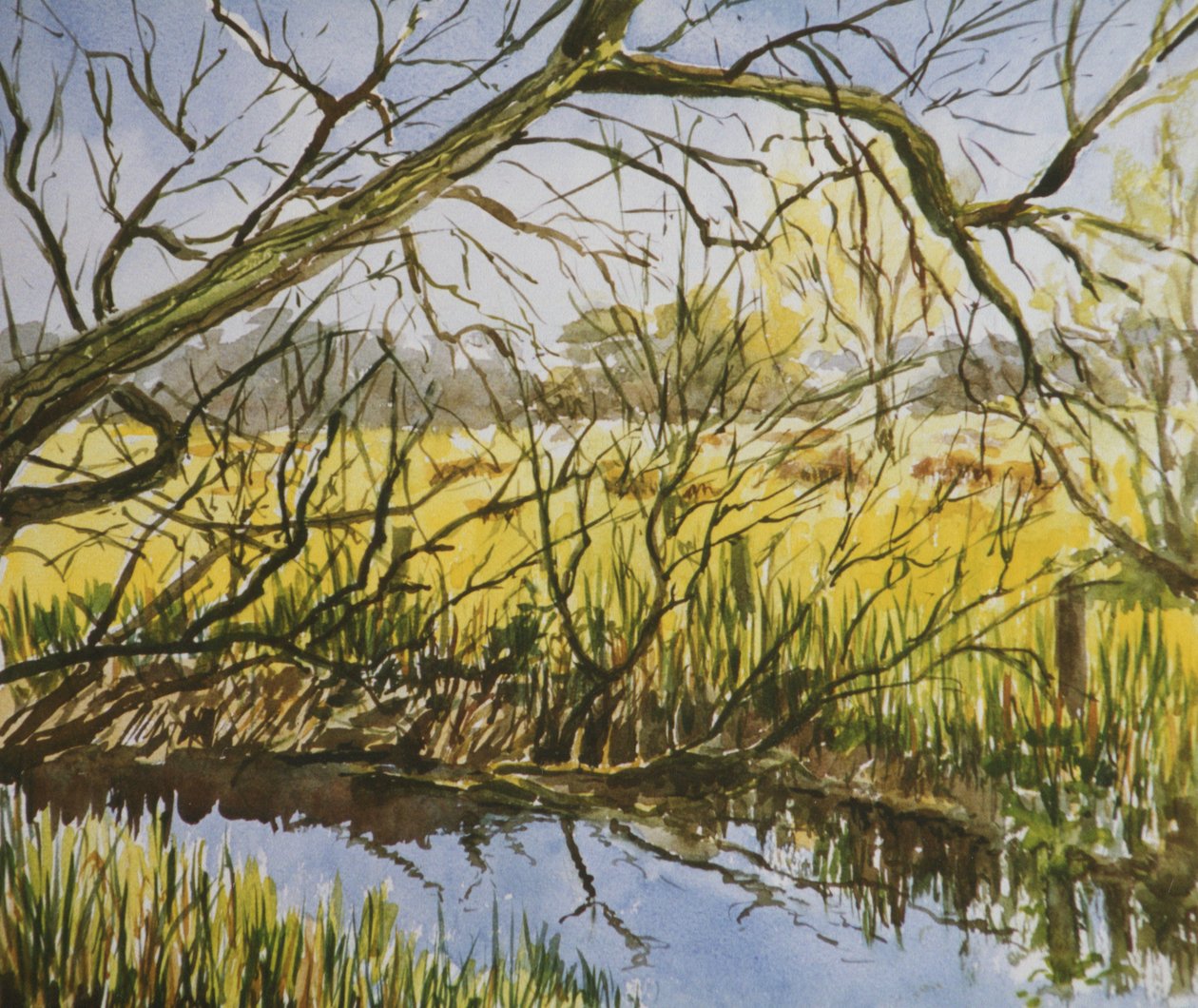 Water Meadows, Kintbury, begin mei 