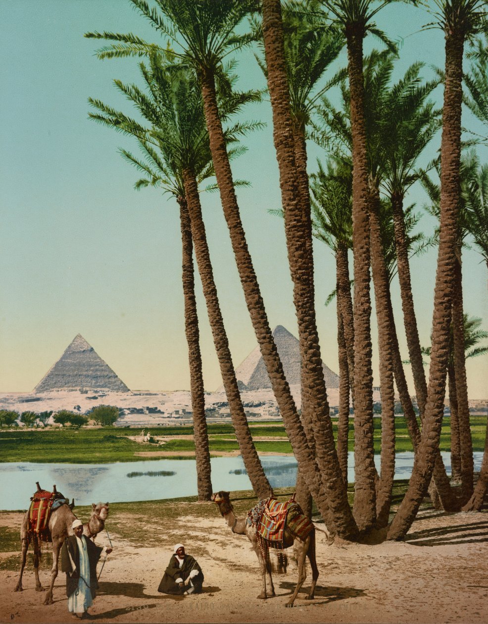 Palmbomen, Bedoeïenen en Piramides, Caïro, Egypte door Company Photoglob
