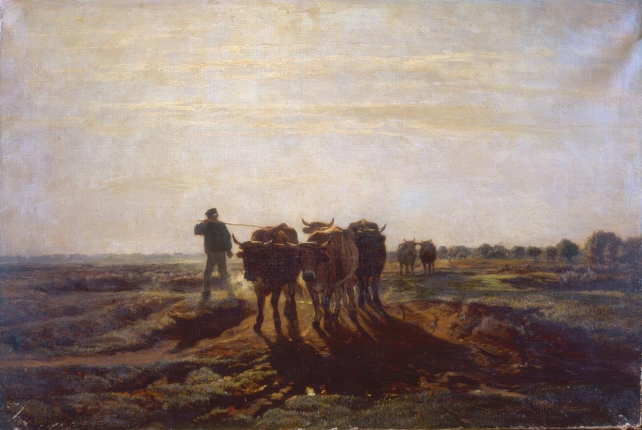 Vlak landschap met ossen door Constant Troyon