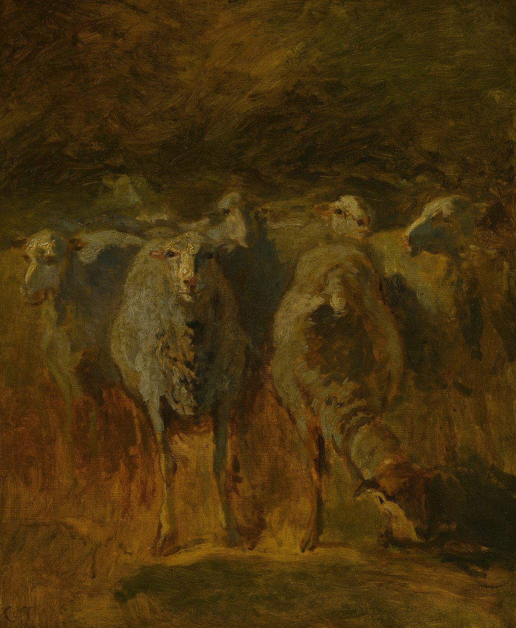 Onafgemaakte Studie van Schapen, ca. 1850 door Constant Troyon