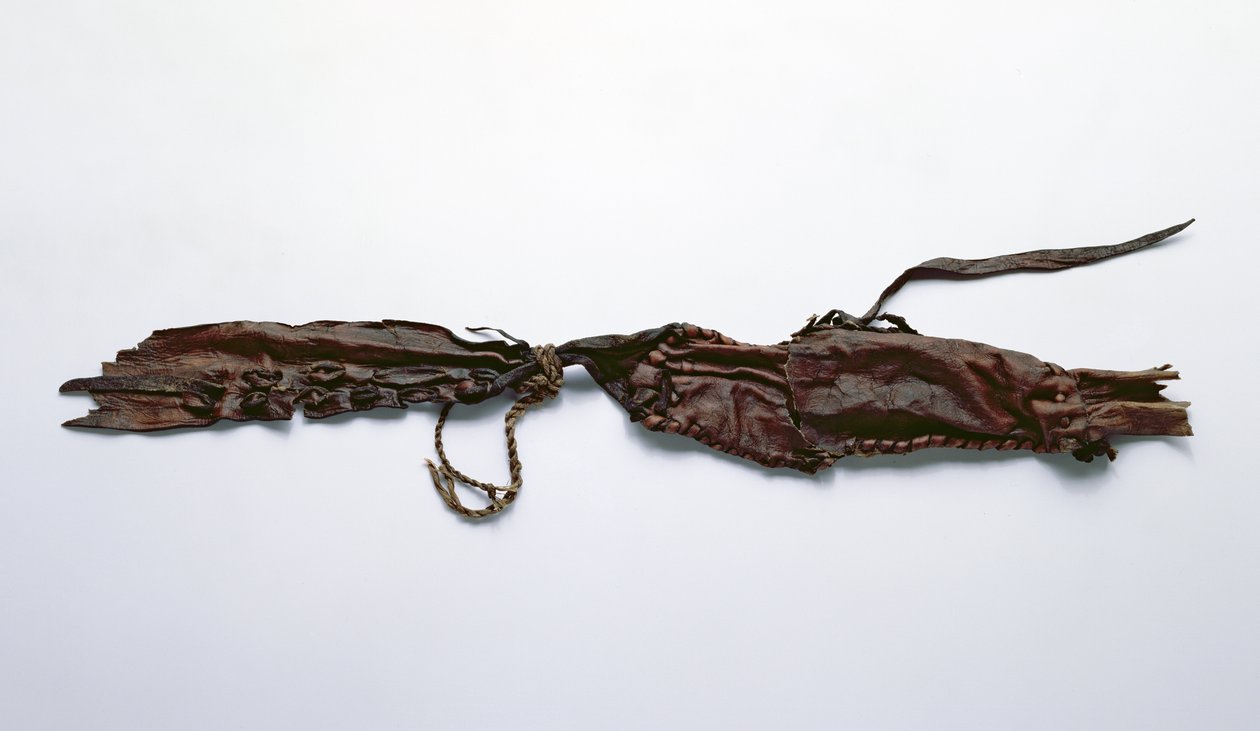 Fragment van huid gevonden bij de Oetzi-ijsman door Copper Age