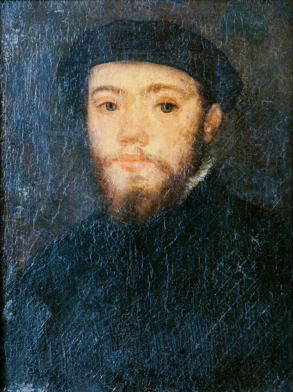 Portret van een man door Corneille de Lyon