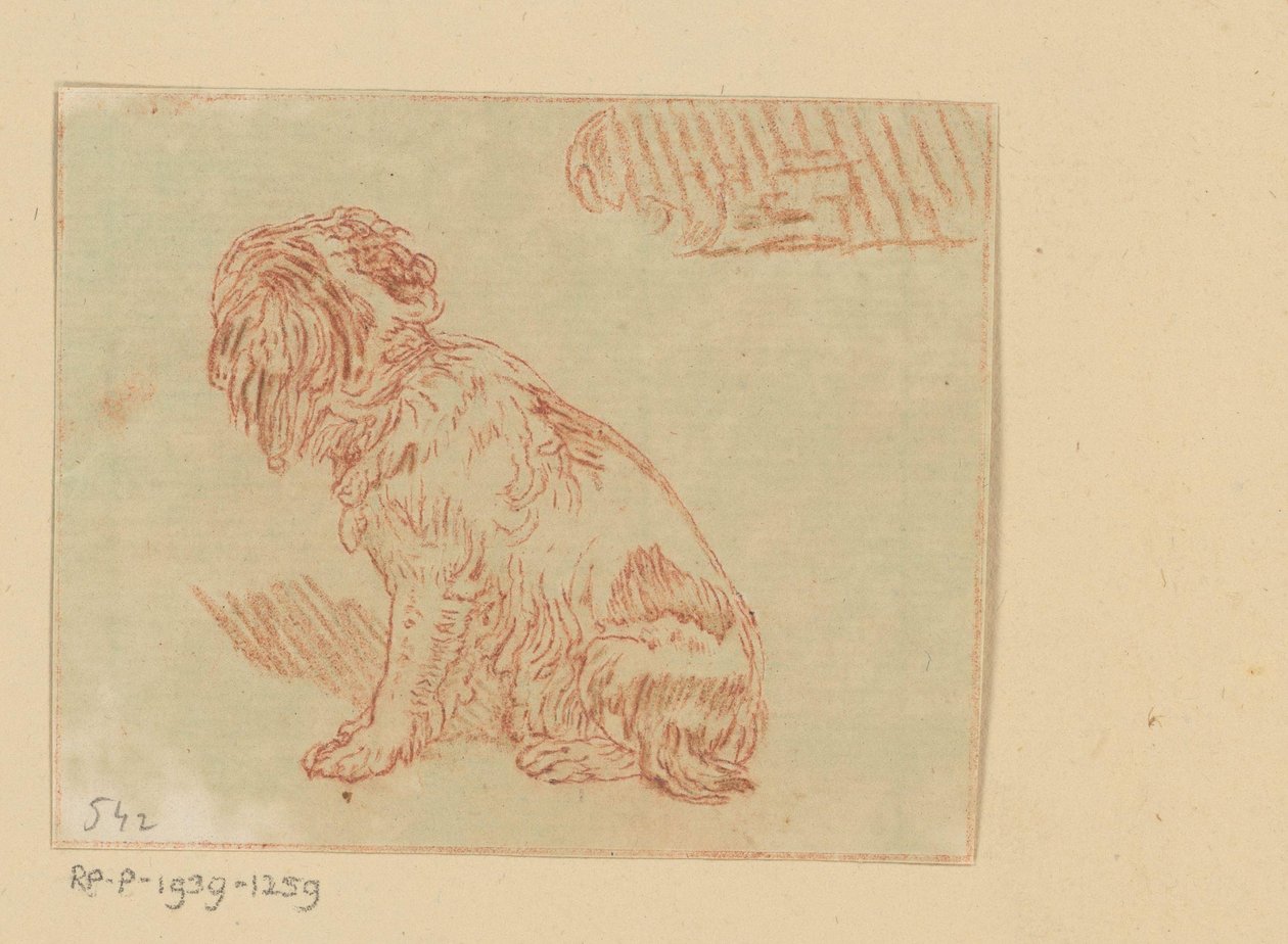 Zittende hond door Cornelis Brouwer (possibly)
