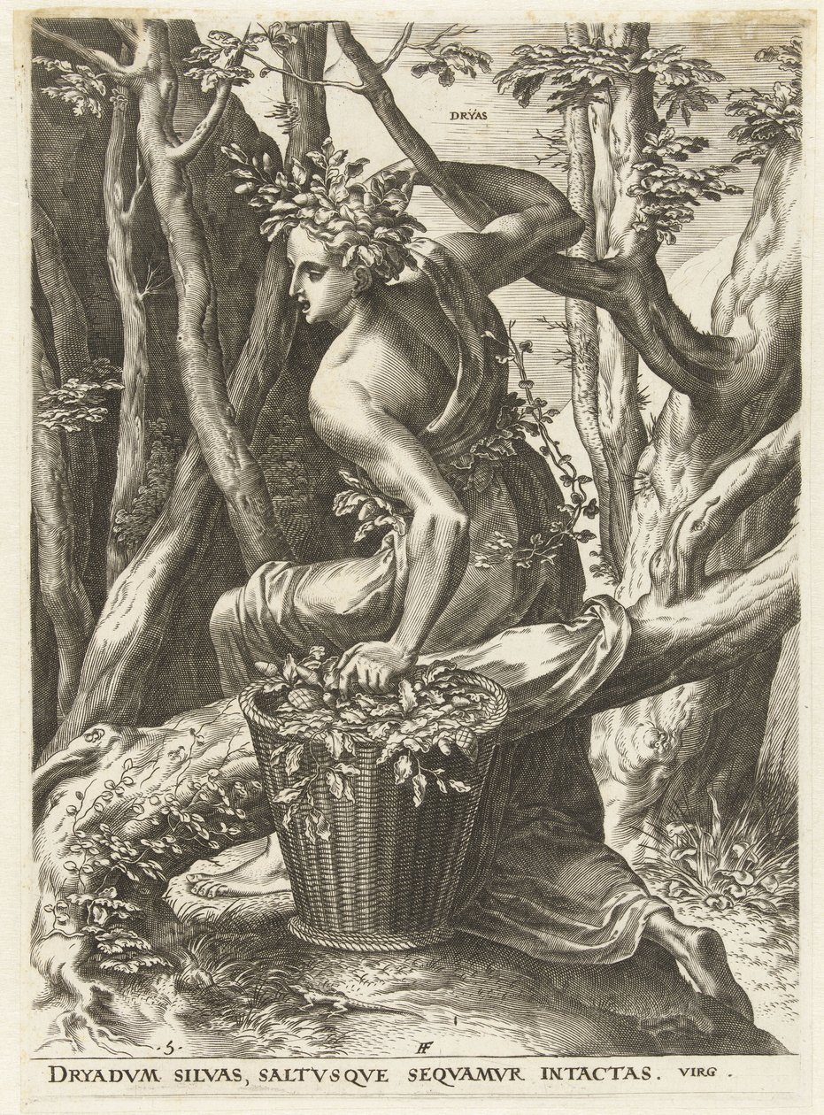 Dryas (Godinnen en nimfen) door Cornelis Cort