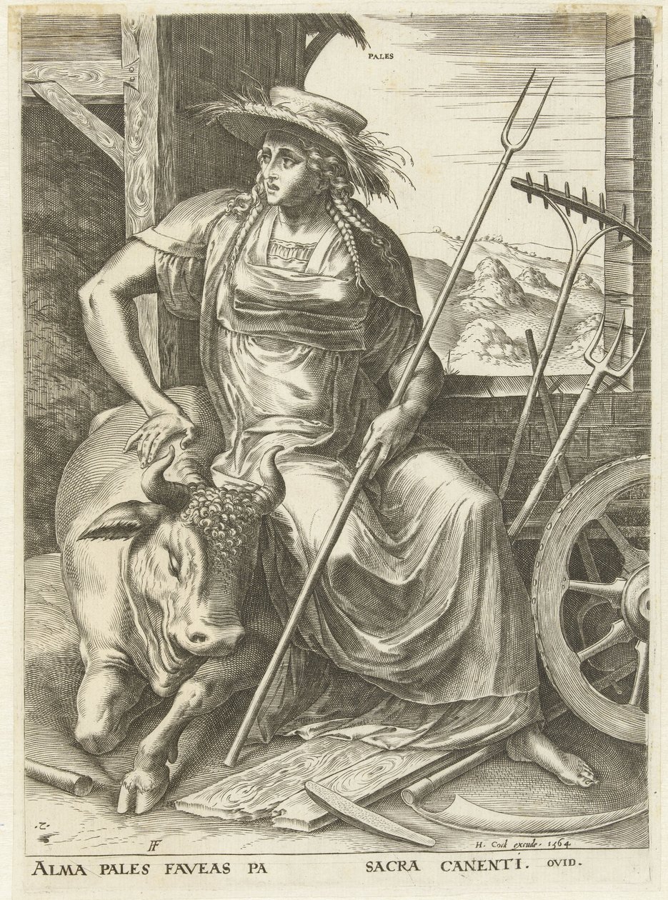 Pales door Cornelis Cort