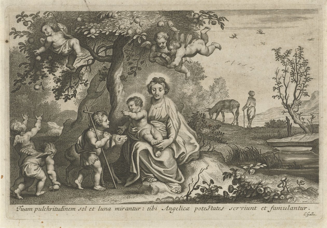 Maria met Kind en Johannes de Doper door Cornelis Galle (II)