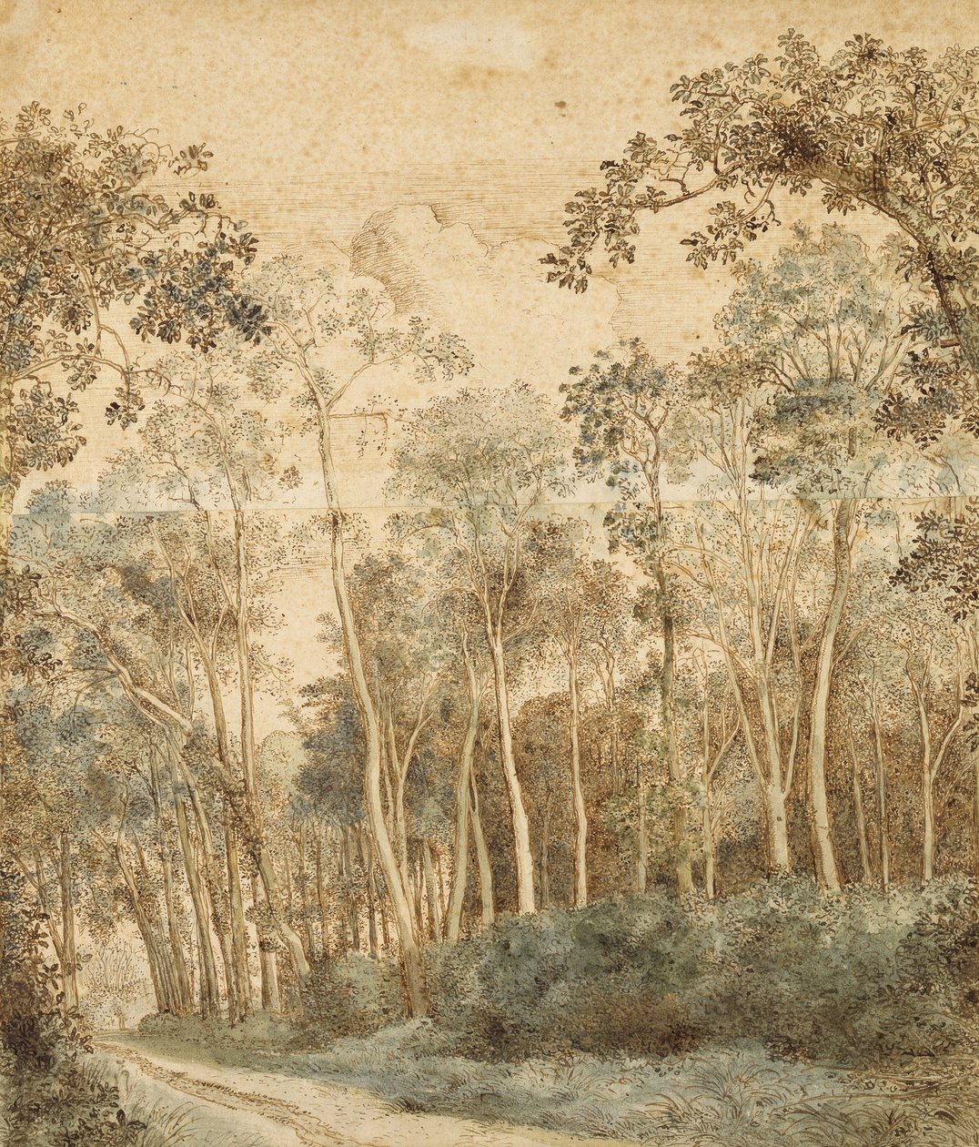 Bosrijk landschap door Hendrick Cornelisz. Vroom
