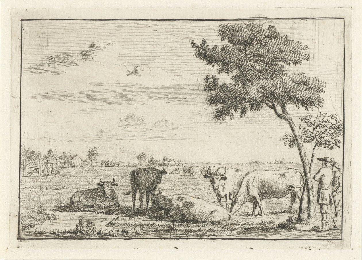 Vijf koeien in een weiland door Cornelis van Noorde