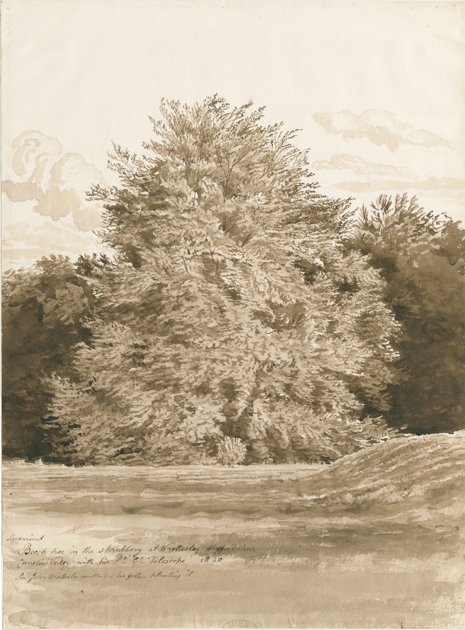 Wrottesley Hall - De Struikgewassen door Cornelius Varley