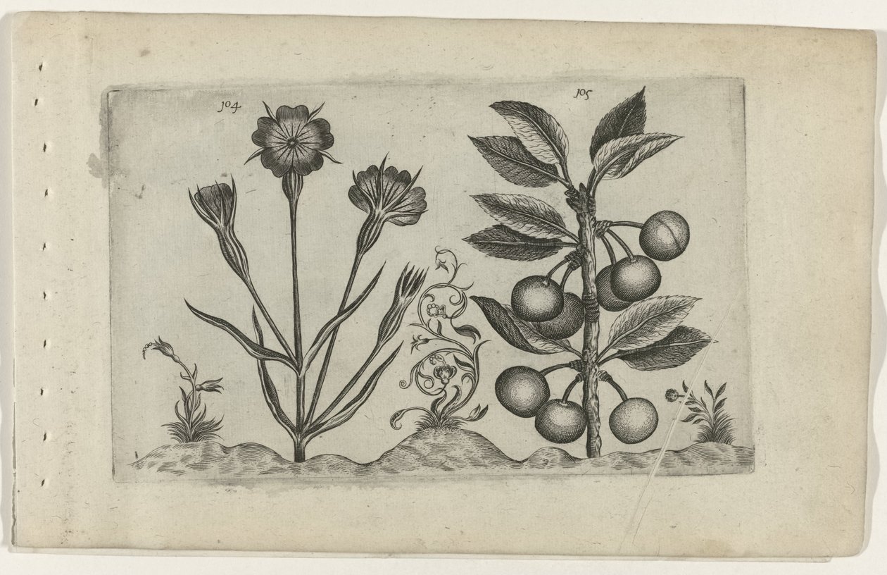 Bolderik en zure kers door Crispijn van de Passe (I) (attributed to)