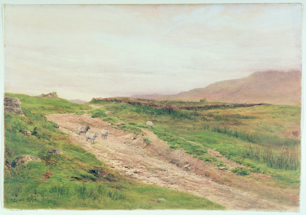 Lake District door Cuthbert Rigby