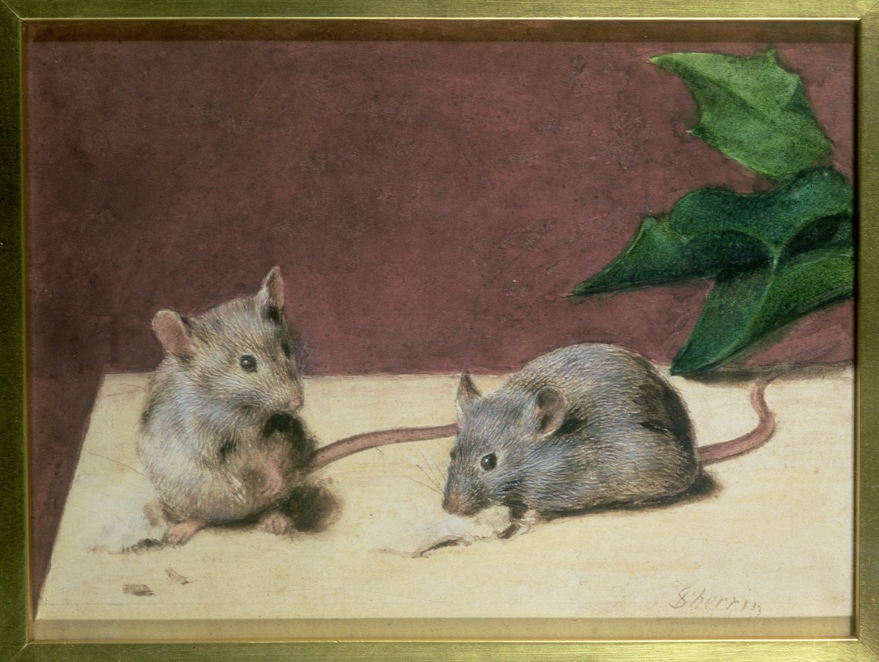 Twee muizen die kaas eten door Daniel Sherrin