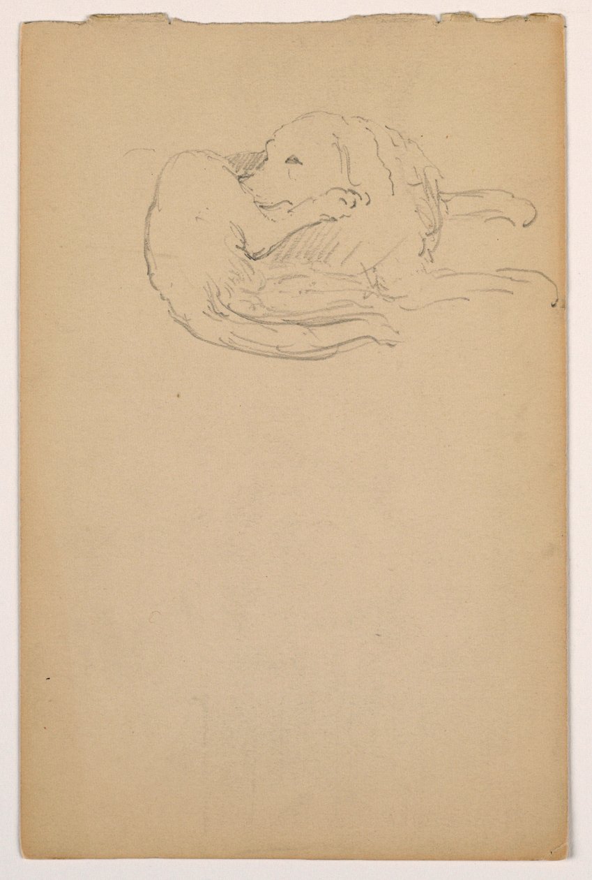Tekening, Dash (een setter), ca. 1862 door Daniel Huntington