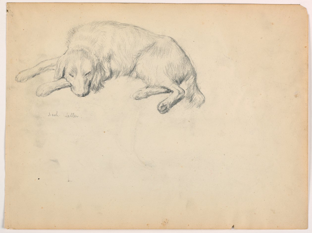 Tekening, Dash (een setter), ca. 1862 door Daniel Huntington