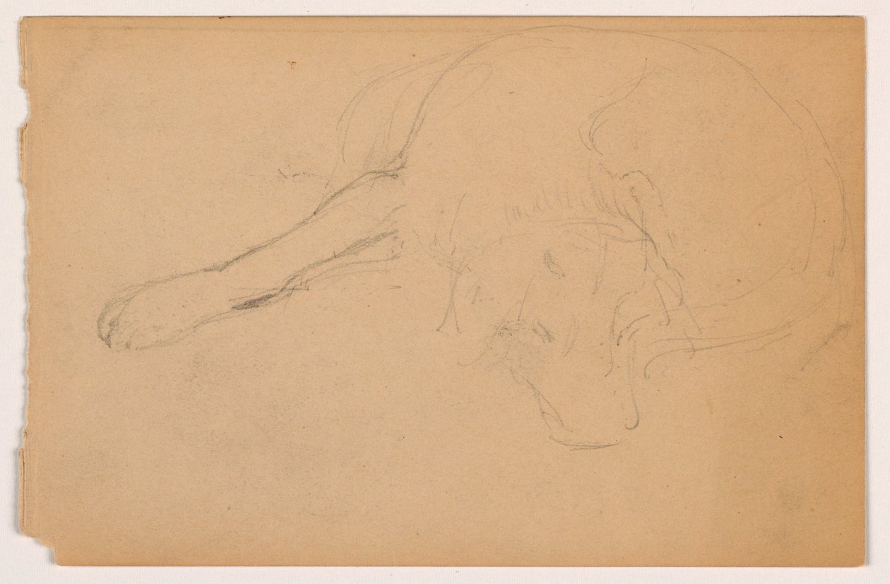 Tekening, Miol (een Pointer), ca. 1862 door Daniel Huntington