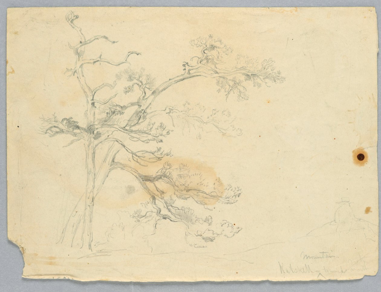 Studie van twee pijnbomen, Catskill Mountains door Daniel Huntington