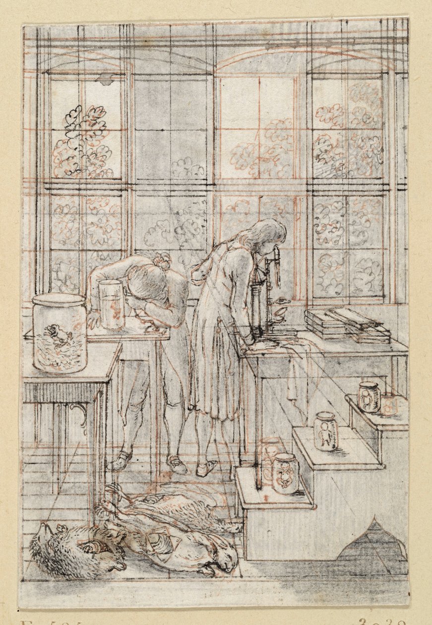 Tekening bij de titelplaat van Blumenbachs „Naturgeschichte“: twee natuuronderzoekers tijdens microscopisch onderzoek. E. 585 door Daniel Nikolaus Chodowiecki