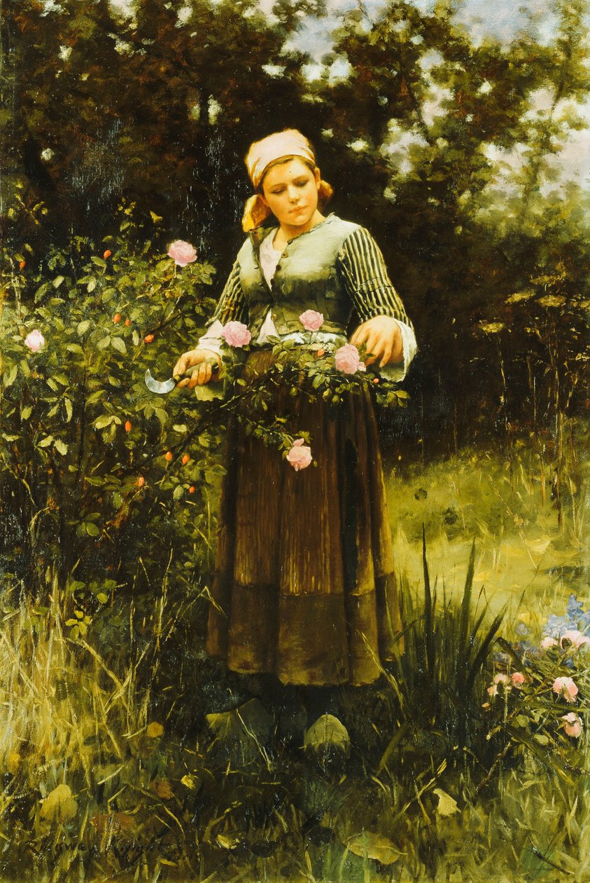 Rozen plukken door Daniel Ridgway Knight