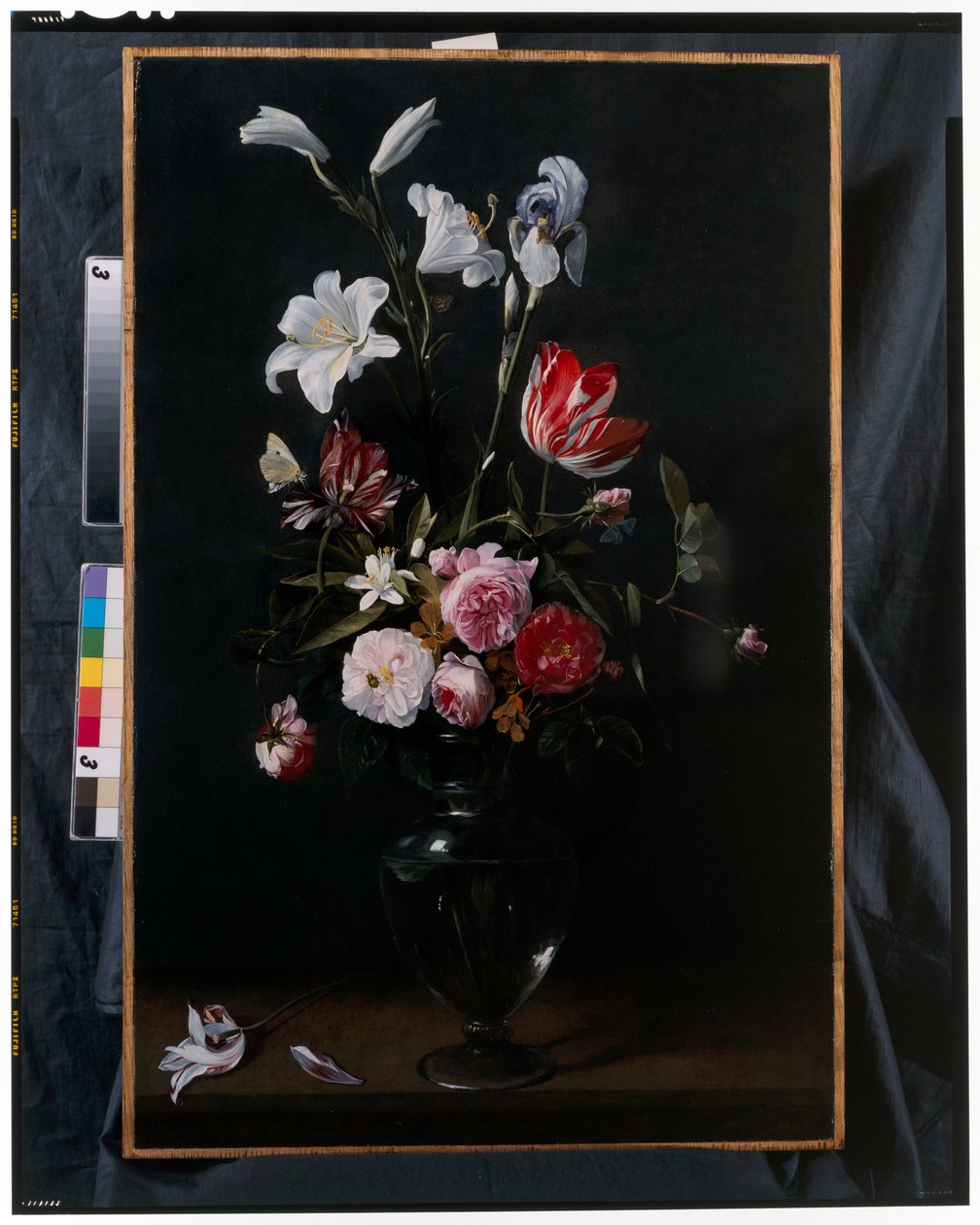 Guirlandes van rozen, tulpen, narcissen en andere bloemen opgehangen aan blauwe linten door Daniel Seghers