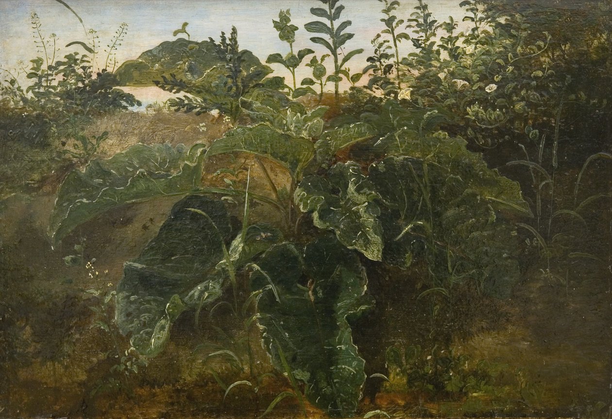 Voorgrondstudie met zuringbladeren door Dankvart Dreyer