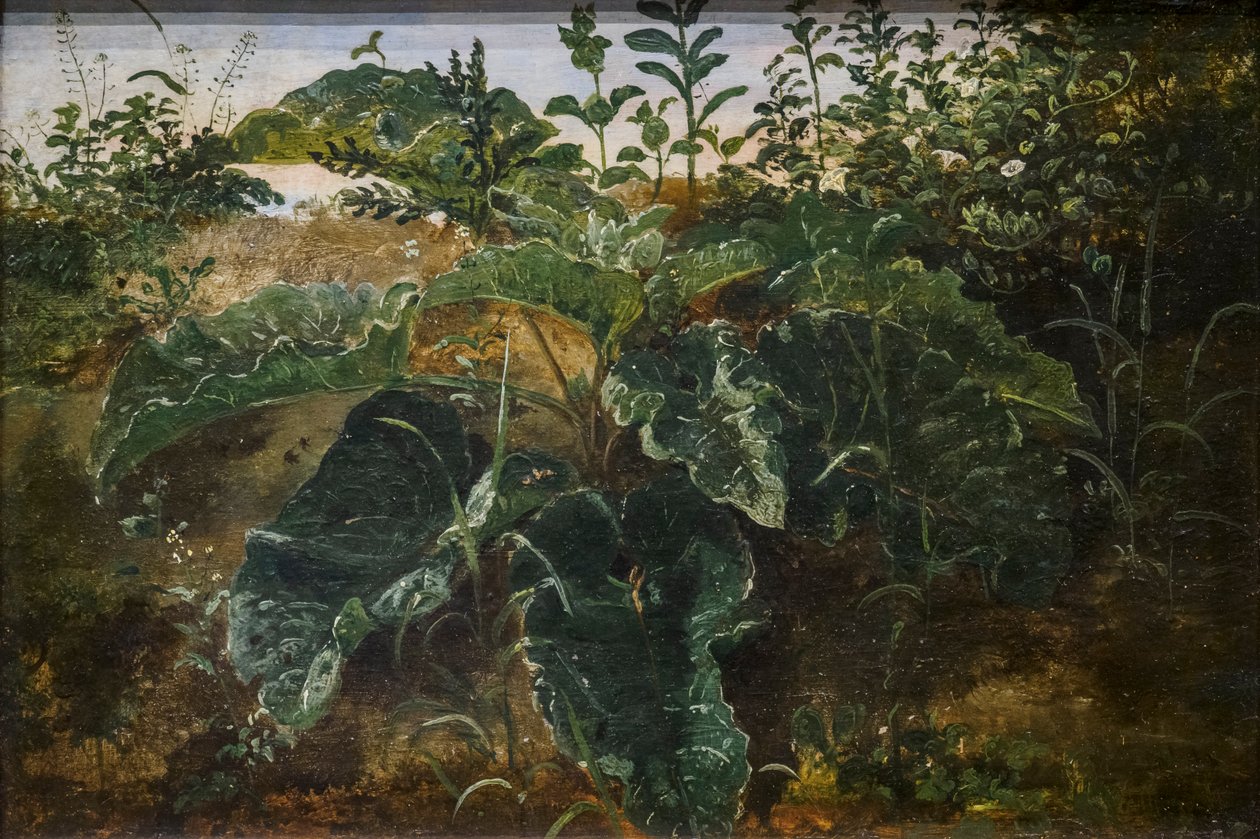 Voorgrondstudie met Dock Leaves door Dankvart Dreyer