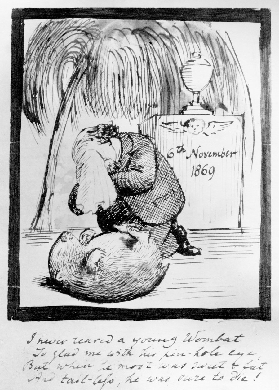 Rossetti treurt om de dood van zijn Wombat, 1869 (pen en inkt op papier) door Dante Gabriel Charles Rossetti