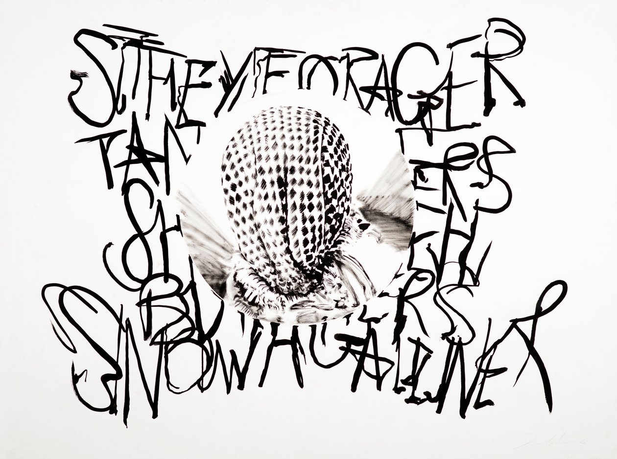Lanslandschap, 2003 (inkt op papier) door Darren Coffield