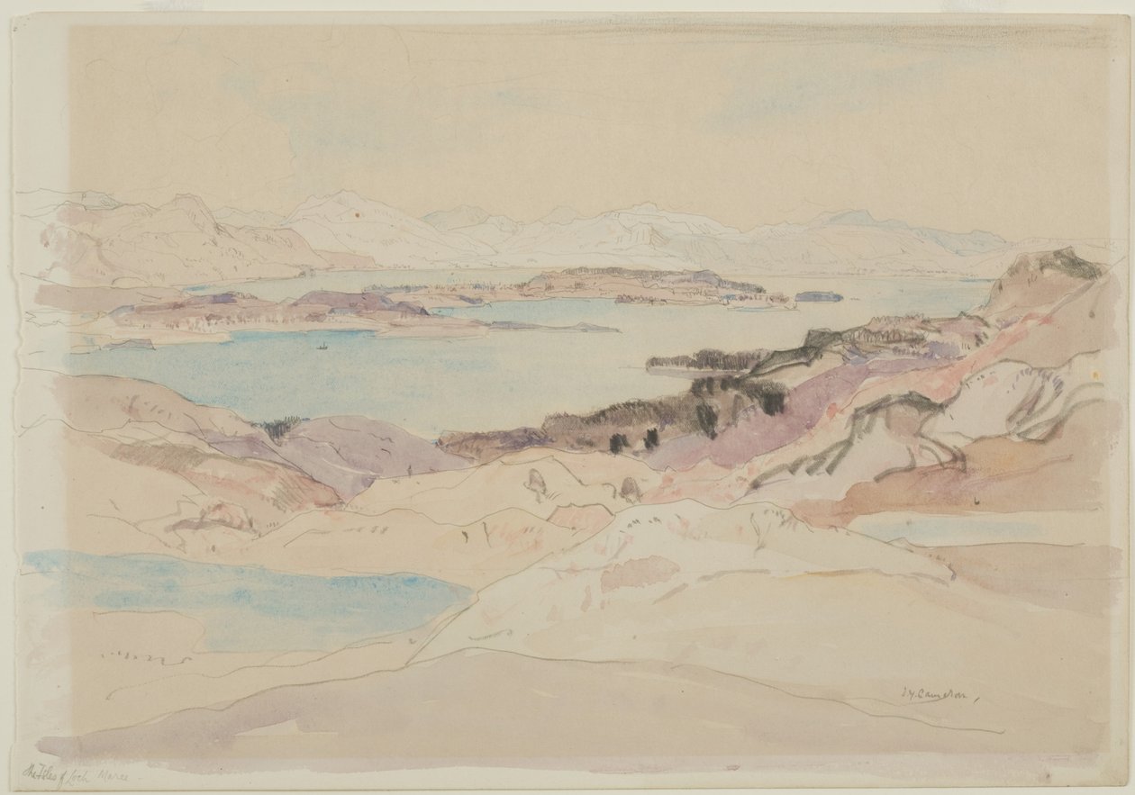 Het Eiland Loch Maree door David Young Cameron