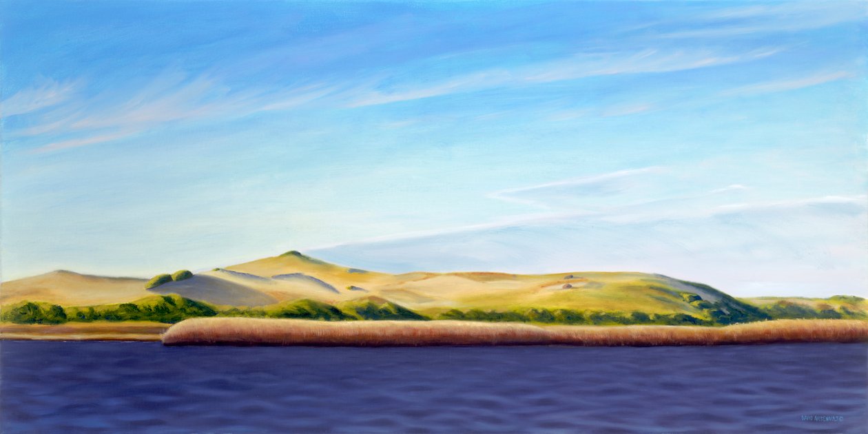 Het Provincieland binnengaan, 2013 (olieverf op doek) door David Arsenault