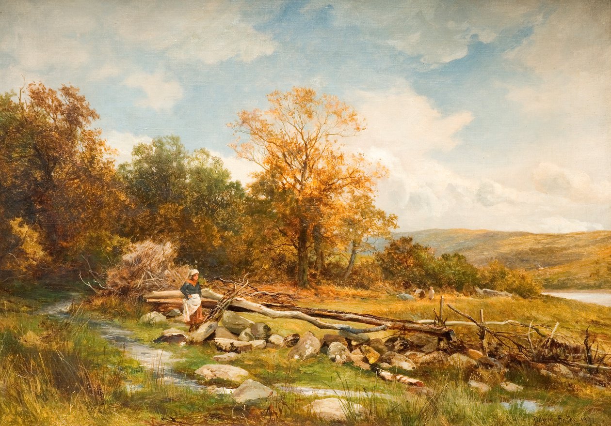 Getijdenhek op de rivier Conwy in Bachlediog, 1891 door David Bates