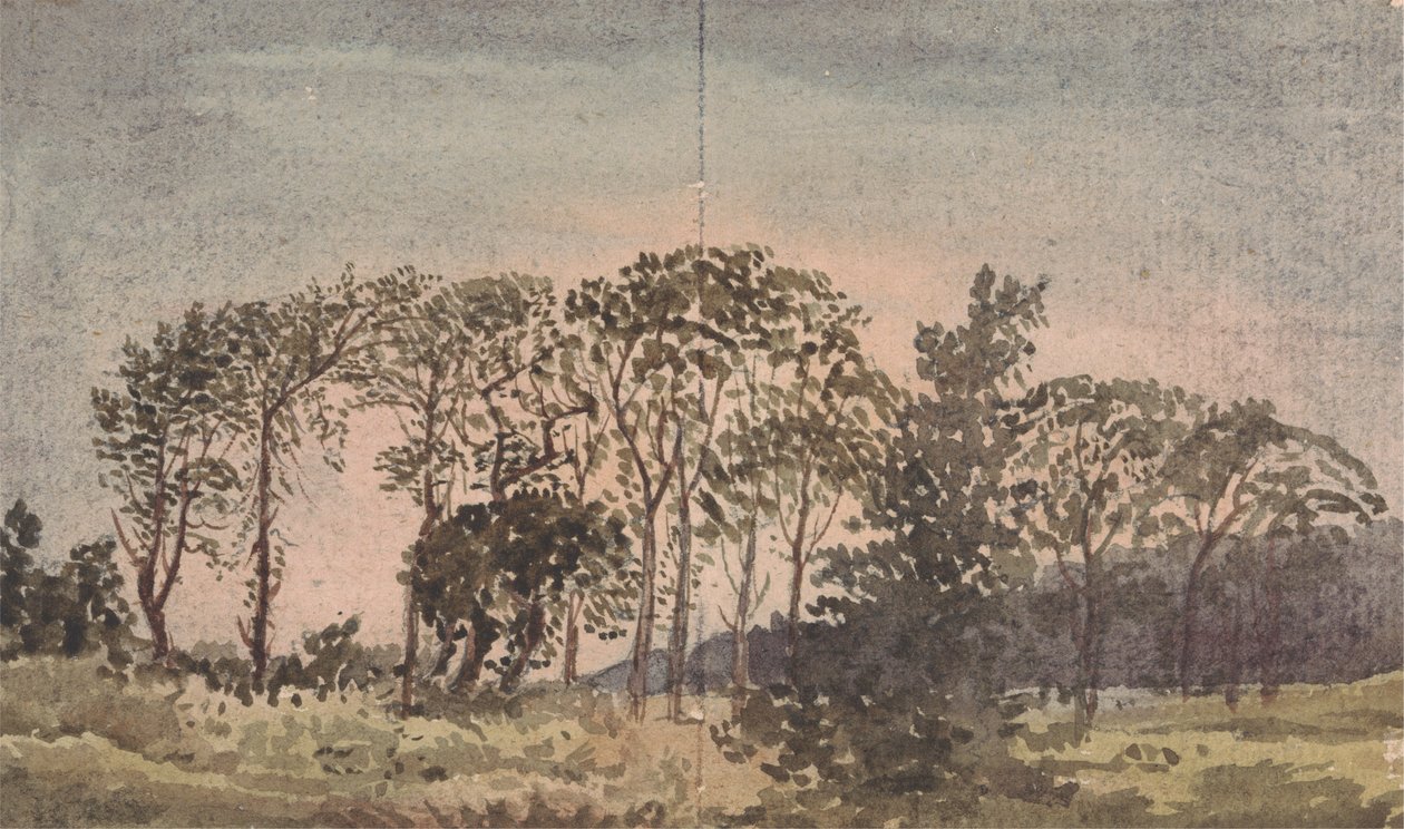 Landschap met bomen door David Charles Read