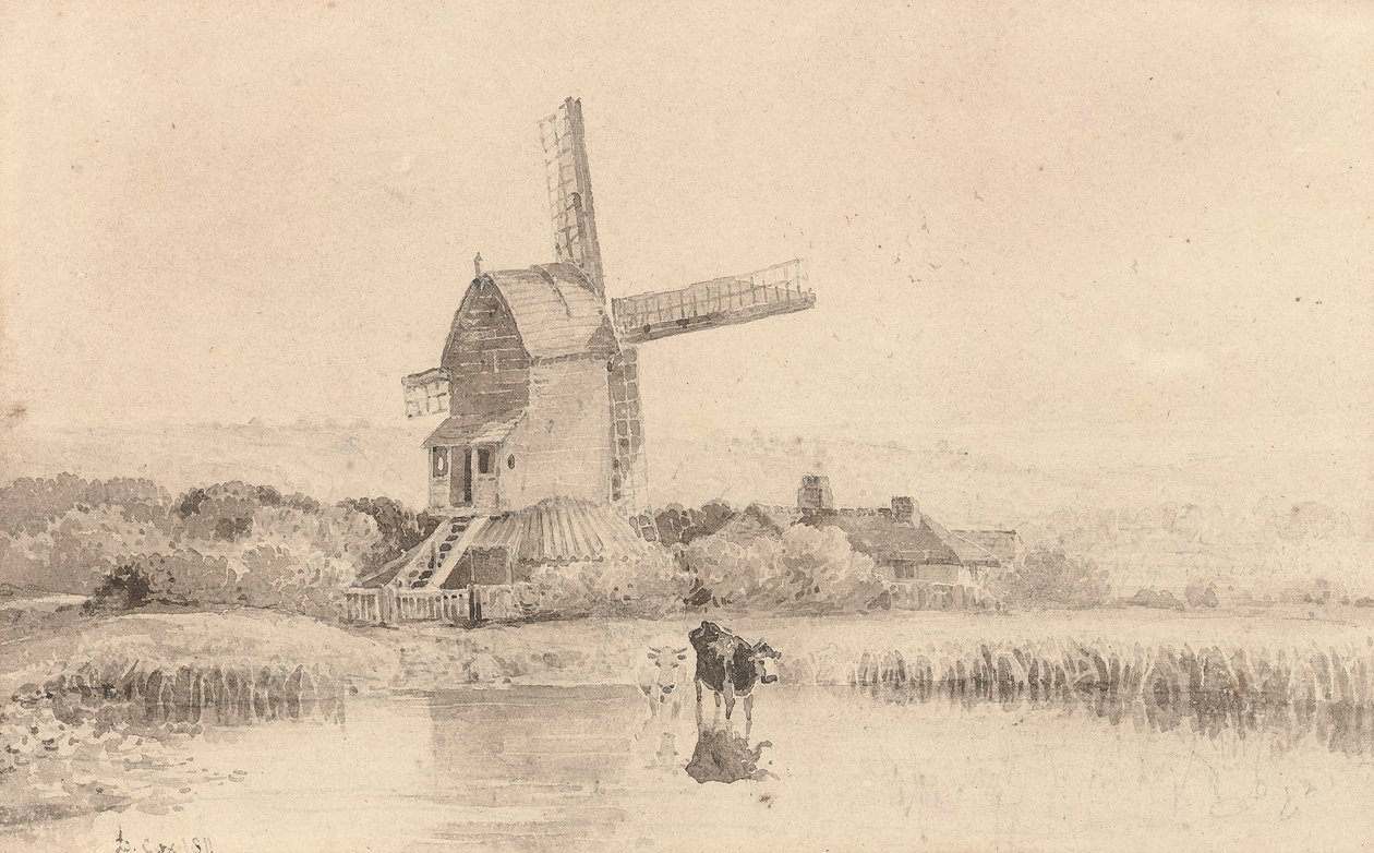Vee dat Drinkt bij een Windmolen op Dulwich Common, 1811 door David Cox
