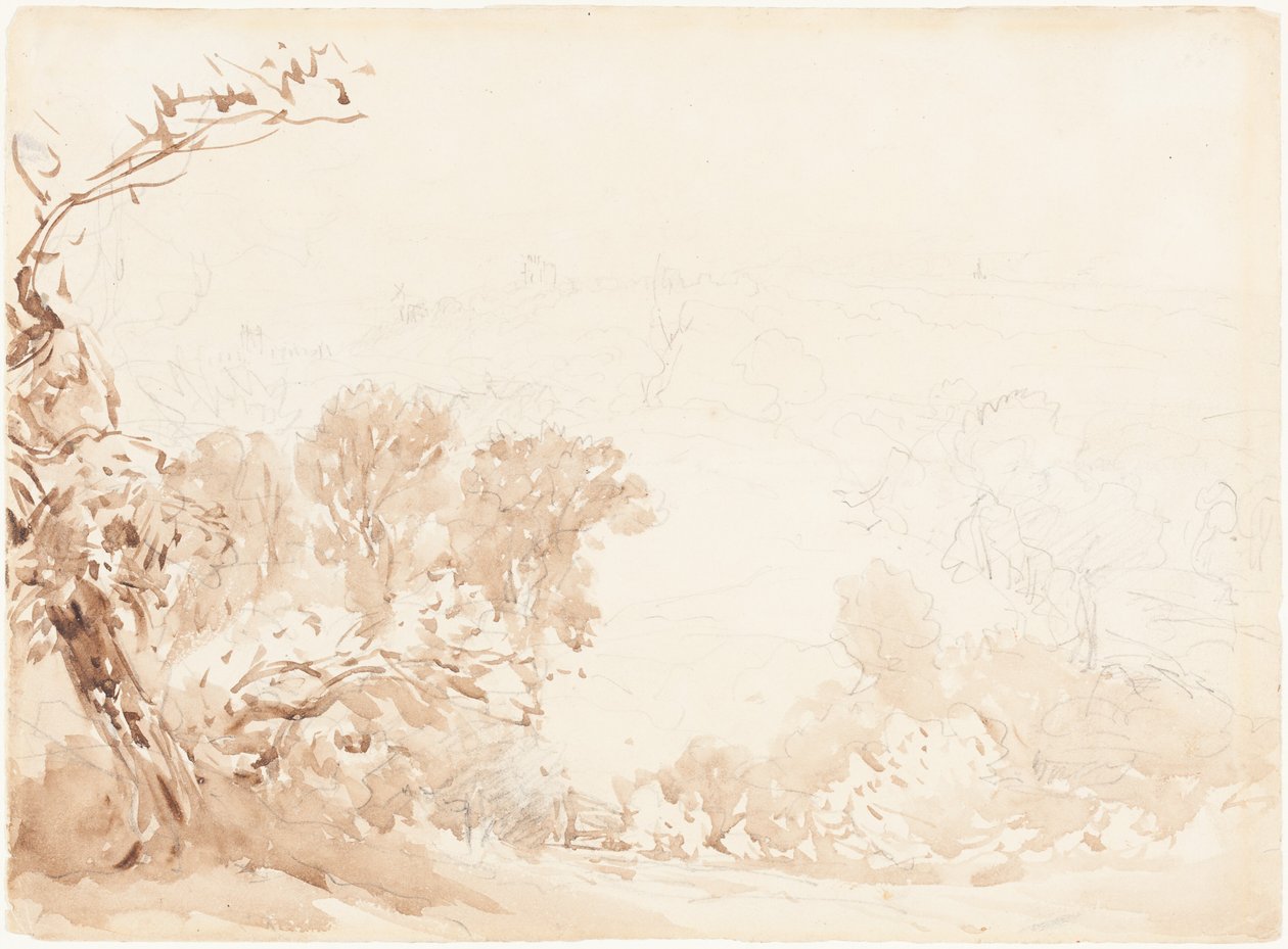 Heuvelhelling en bomen door David Cox