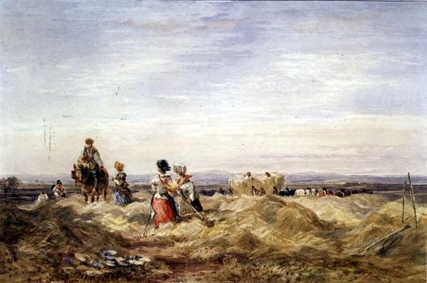 In het hooiveld door David Cox