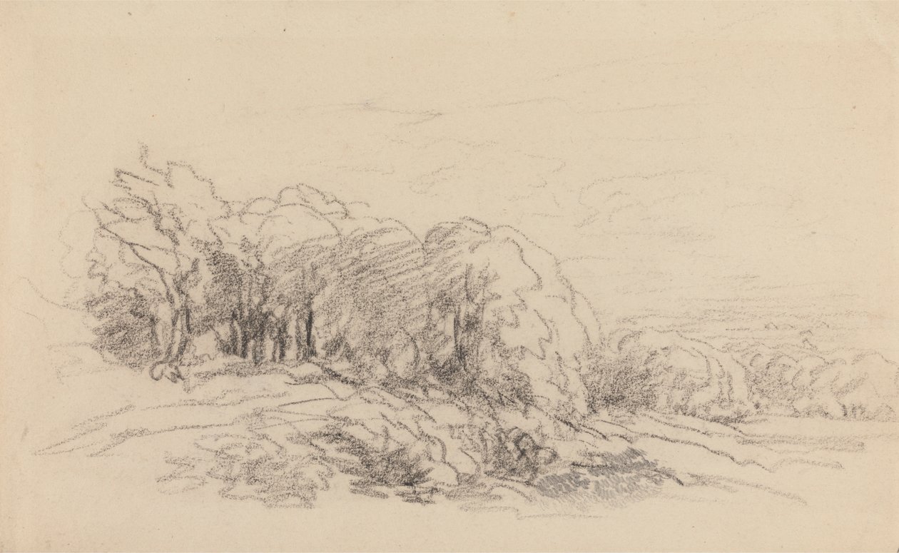 Landschap met bomen door David Cox